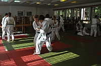 Sobenský rybník 201215.JPG.JPG